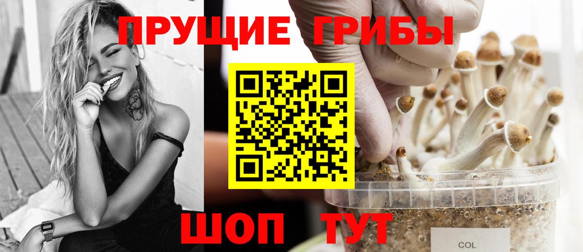 Вольск  где купить наркоту  Вход с VPN  Галлюциногенные грибы MAGIC MUSHROOMS 